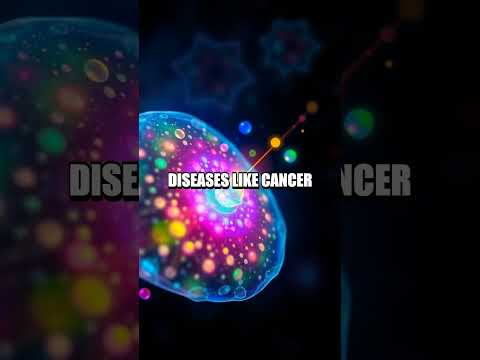 The Journey of Quantum Dots in Nanomedicine