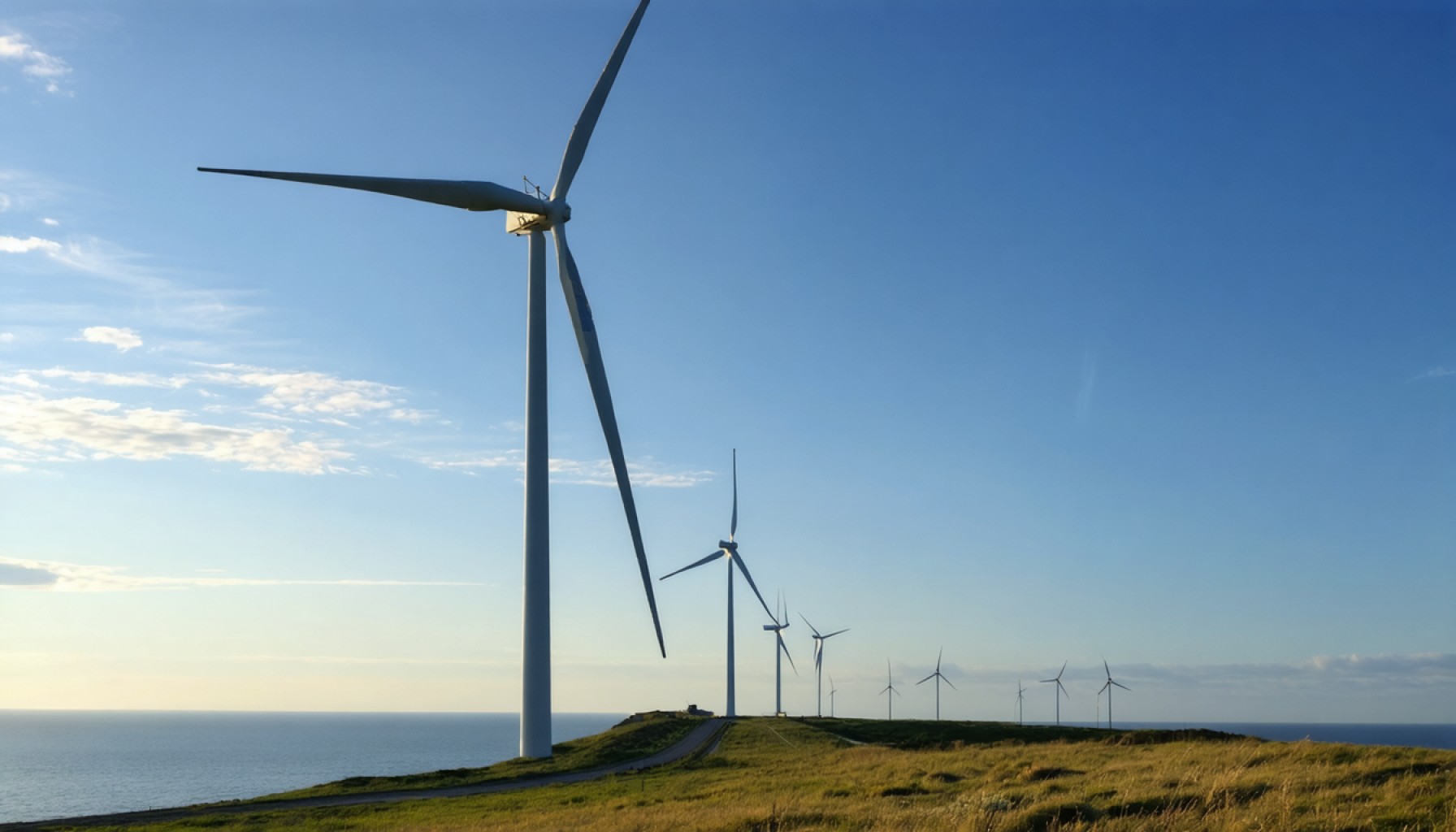 The Showdown on Long Island: Wind Power Dreams Deferred?